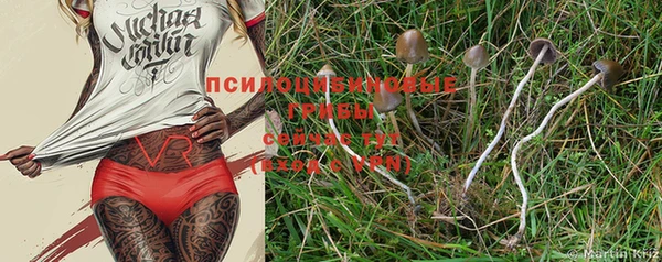 прущие крисы Алексин